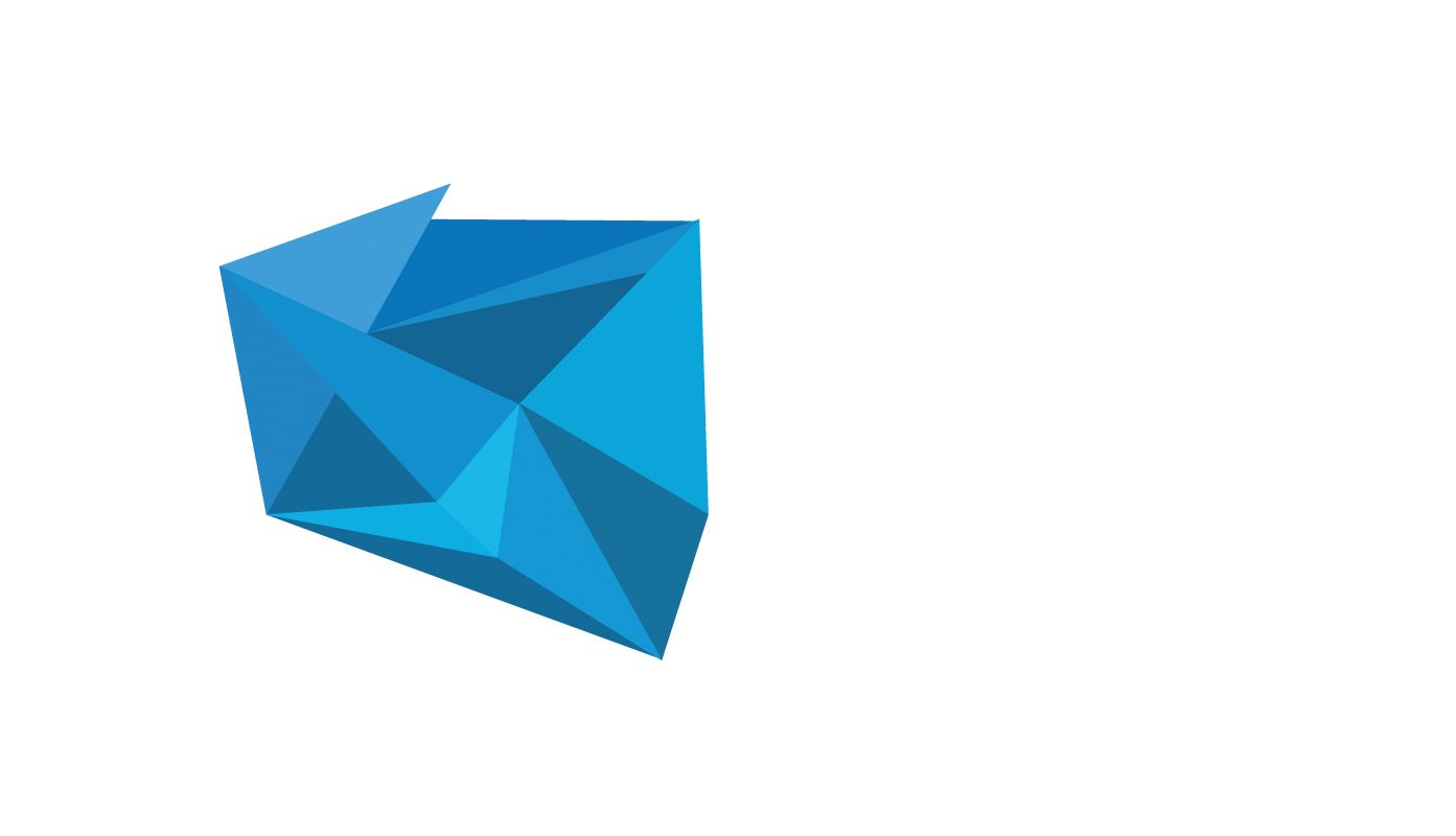 Logo Festiwal BOSS